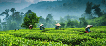 Assam PEB Projects - Kaizen Smartbuild