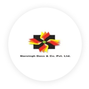 Raj Overseas Logo